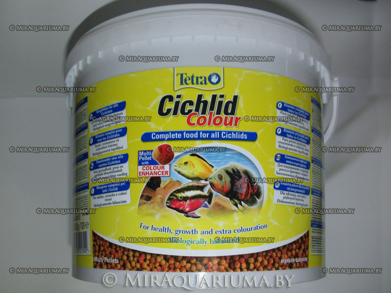 tetra-cichlid-colour-02