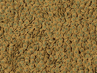 Корм Tetra pleco veggie wafers
