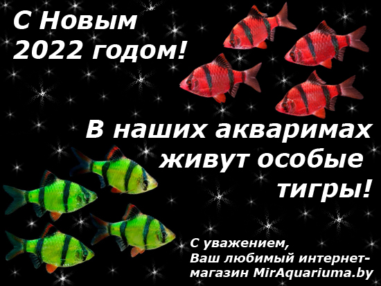 Открытка с Новым 2022 годом, рыбки